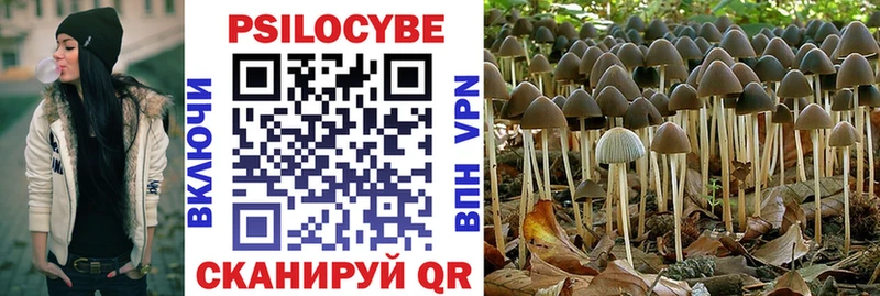 Псилоцибиновые грибы GOLDEN TEACHER  Белозерск 