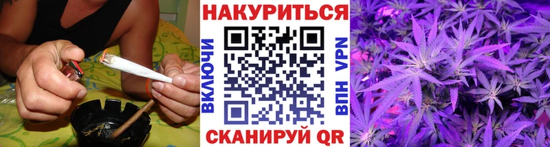 Шишки марихуана семена где можно купить наркотик Белозерск